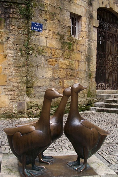 Oies Sarlat 3