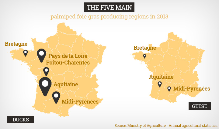 five_main_palmiped_foie_gras_producing_regions