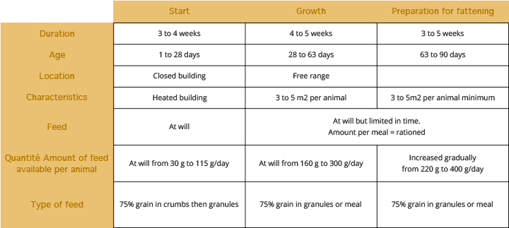 stockbreeding_phase